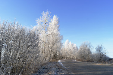 Similar image 7324815