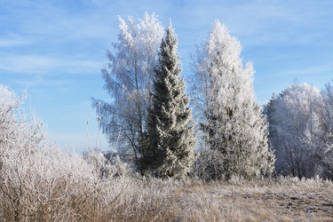 Similar image 7324817