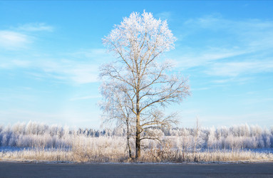 Similar image 7324820