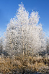 Similar image 7324821