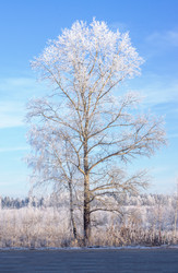 Similar image 7324822