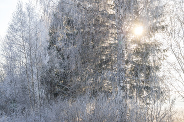 Similar image 7324823