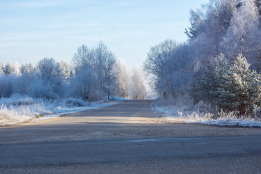 Similar image 7324825