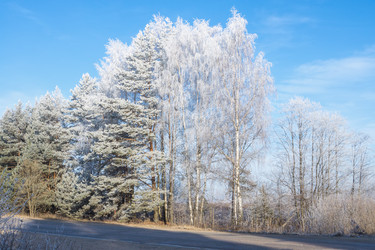 Similar image 7324826