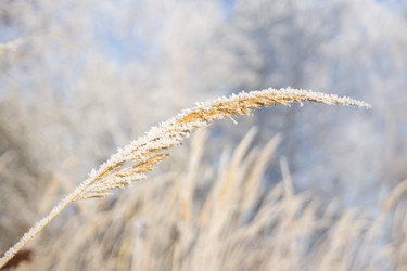 Similar image 7324827