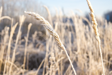 Similar image 7324828