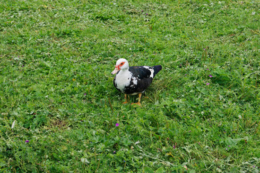 Similar image 7325725