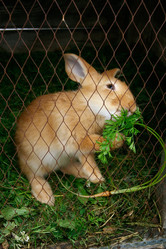 Similar image 7325728