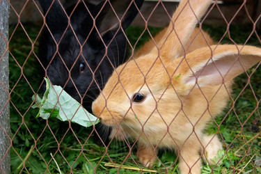 Similar image 7325731