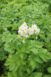 Similar image 7325732