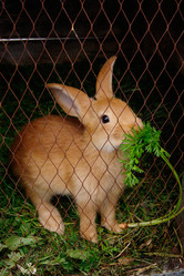 Similar image 7325737