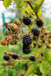 Similar image 7325757