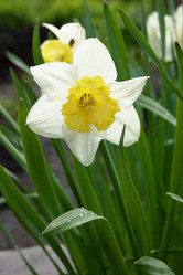 Similar image 7325760