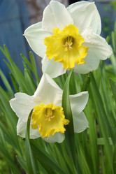 Similar image 7325761