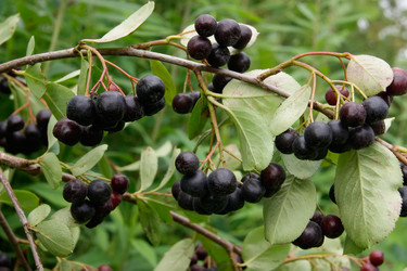 Similar image 7325766