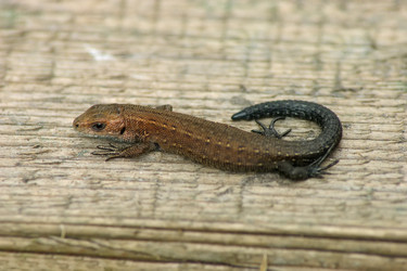 Similar image 7325767