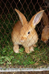 Similar image 7325768