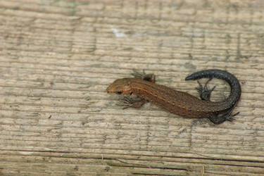 Similar image 7325774