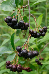 Similar image 7325776