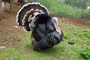 Similar image 7325802