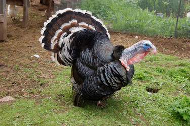 Similar image 7325803