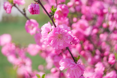 Similar image 7325806