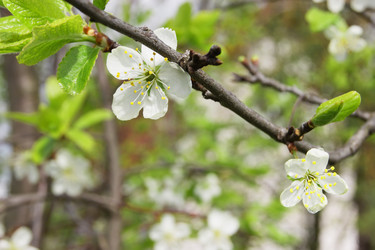 Similar image 7325807