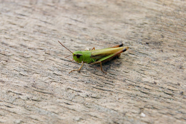 Similar image 7325809