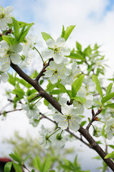 Similar image 7325821