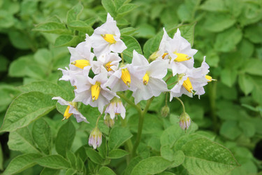 Similar image 7325850