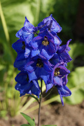 Similar image 7325851