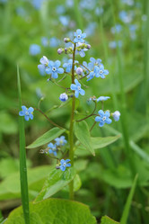 Similar image 7325853