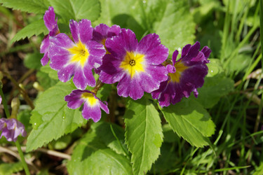 Similar image 7325854