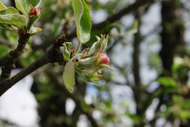 Similar image 7325855