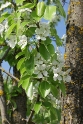 Similar image 7325858