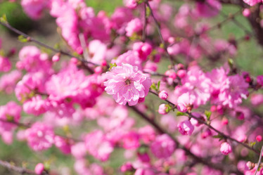 Similar image 7325861