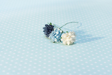 Similar image 7325893