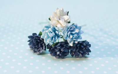 Similar image 7325905