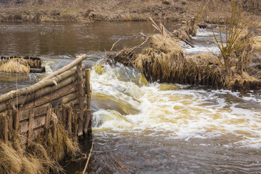 Similar image 7325914