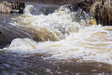 Similar image 7325916