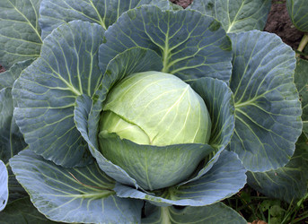 Similar image 7326542