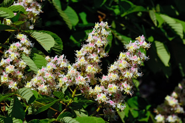 Similar image 7326547