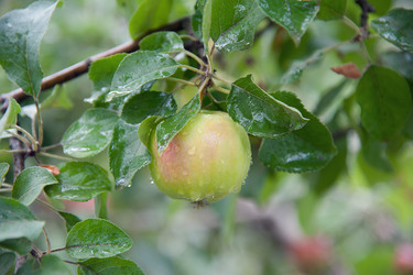 Similar image 7326555