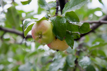 Similar image 7326556