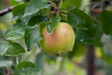 Similar image 7326557