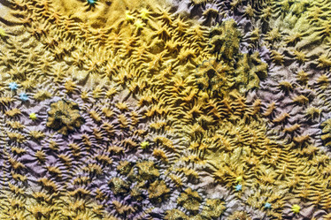 Similar image 7326582