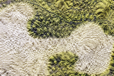 Similar image 7326588