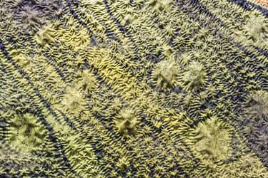 Similar image 7326589