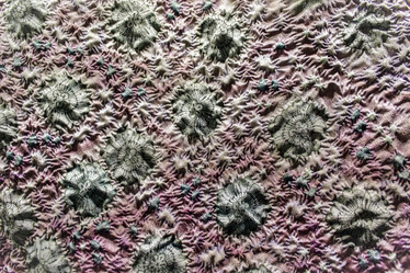 Similar image 7326590