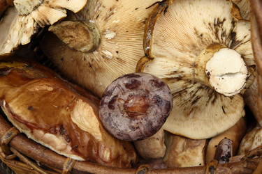 Similar image 7328674